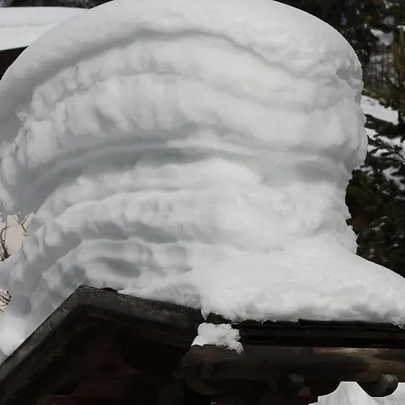 Seppaler Sankt Anton am Arlberg
